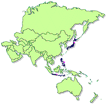 International Dealers in Asia and the South Pacific